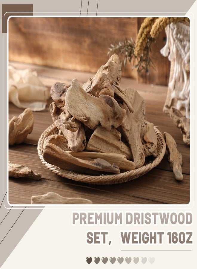 Maasechs 16oz Driftwood for Crafts and Decor, Mixed Size Driftwood Pieces Large Drift Wood Decor for Home Wedding Table DIY Art Beach Decoration, 2 Inches to 7 Inches in Length - Image 5